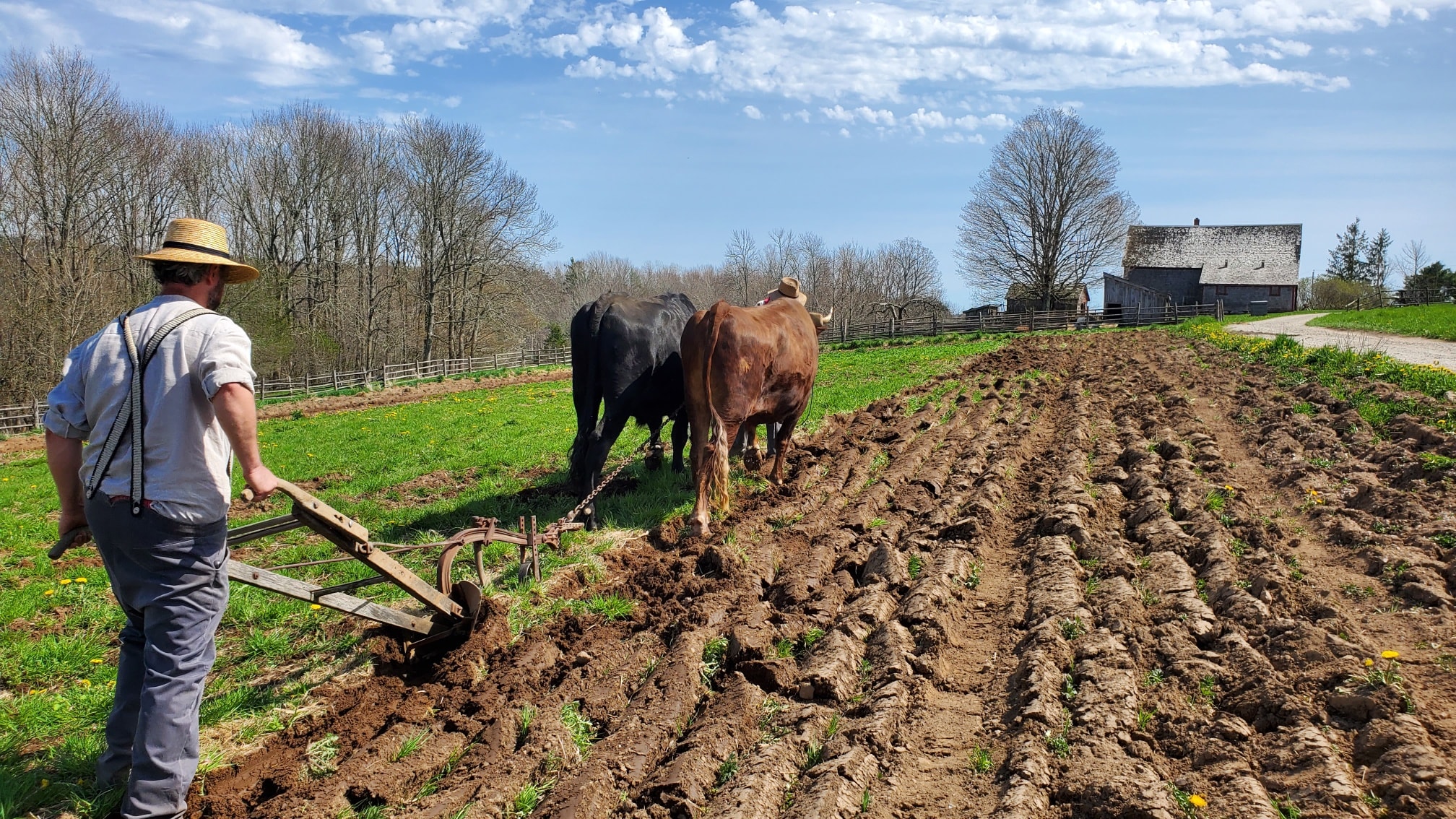 Image of Peter Cullen at Ross Farm