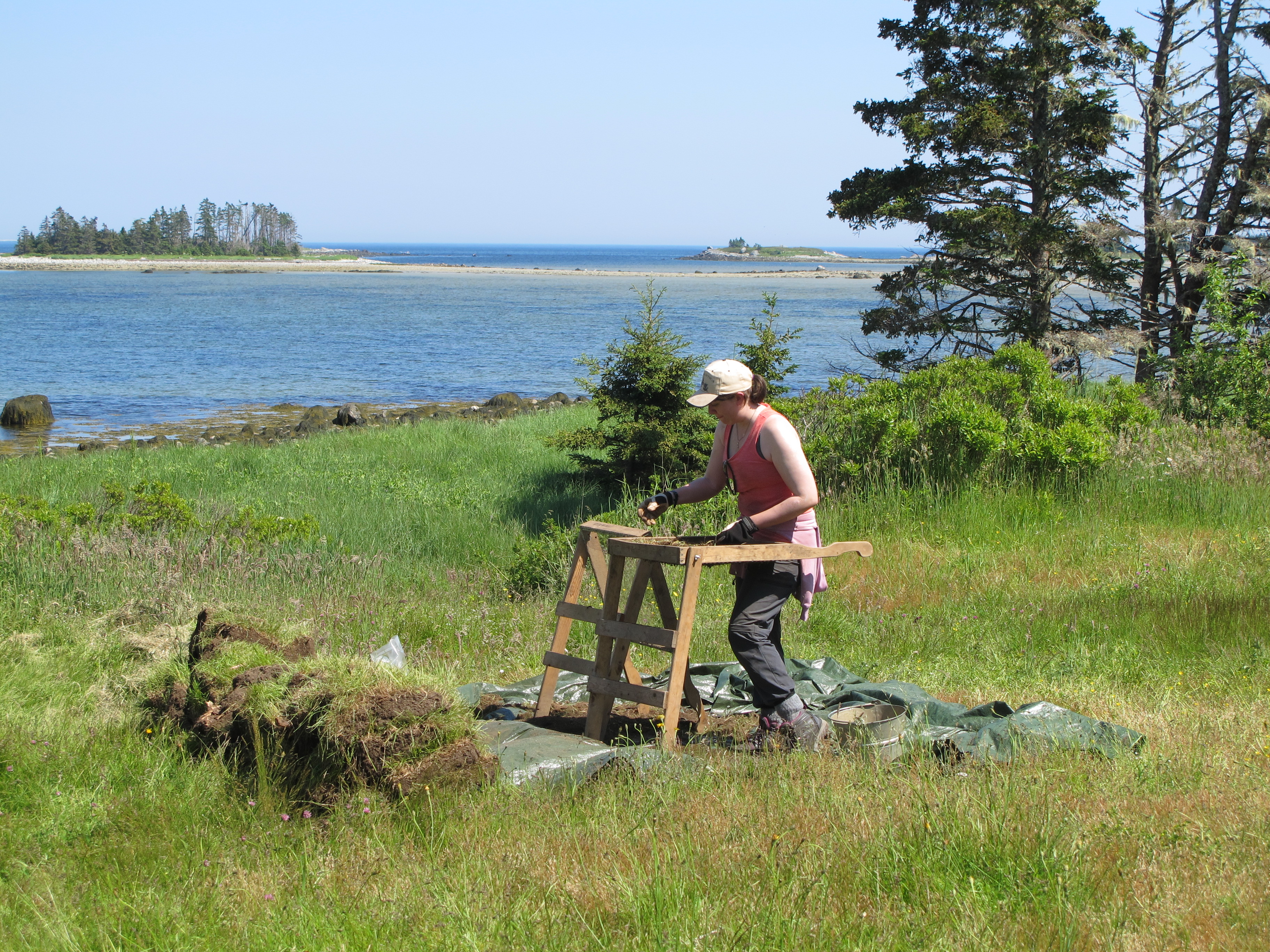 All the soils must be screened for artifacts, even the soil shaken loose from the sod layer.