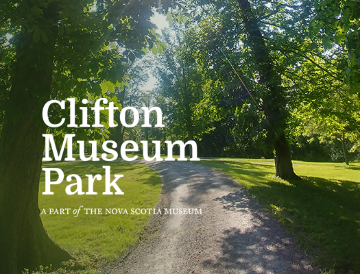 Image of Clifton Museum park, tree lined lane with green lawns.