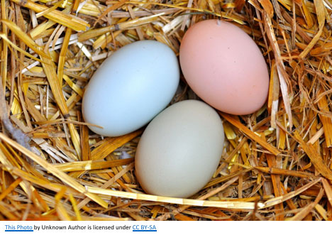 Multicoloured eggs