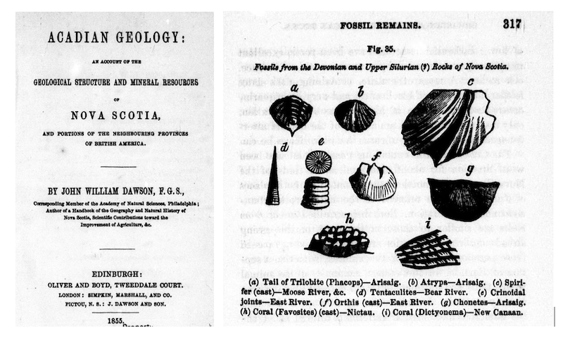 Title page of Acadian Geology 1855 and figure of fossils from Arisaig