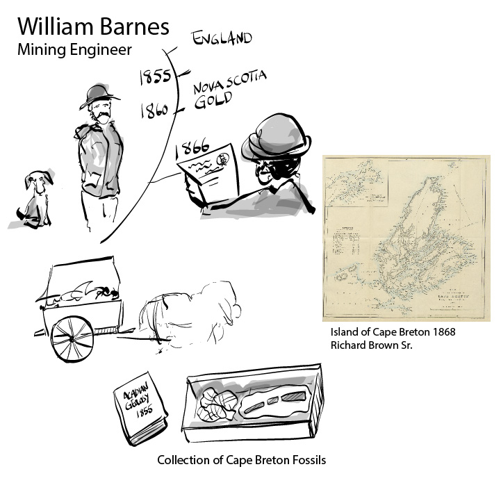 Illustration showing William Barnes, Mining Engineer, with map of Cape Breton and drawing of fossils in a box, a horse and carriage. 