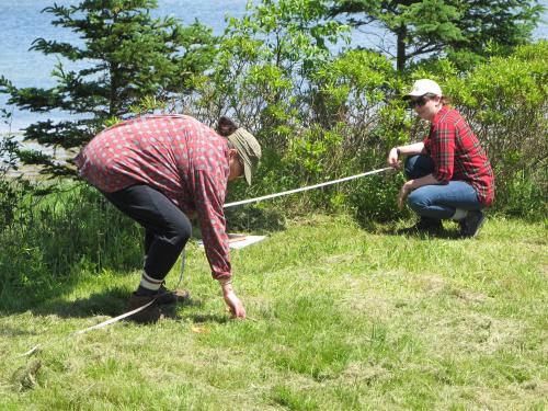 3.	Measuring out new excavation units. We are picking up where we left off in 2018. 