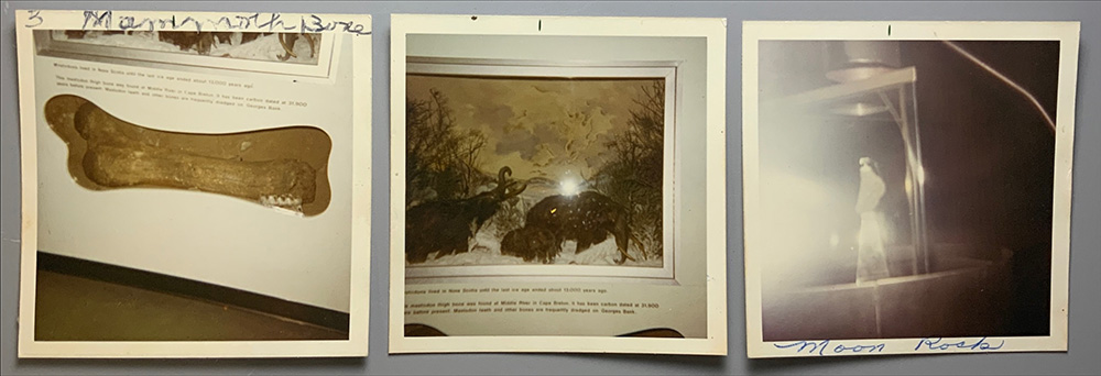 Photographs Sylvia Weagle took during her visit to the museum in 1971, showing the mastodon femur, models of mastodons, and "moon rock" on display. 