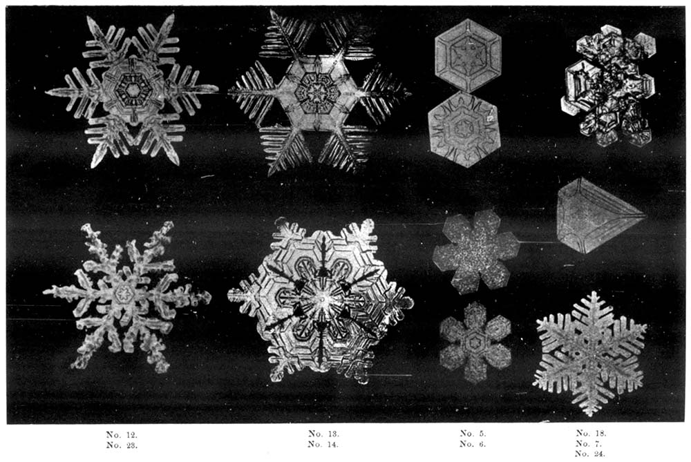 Figure from a paper by Bentley and Perkins in 1898 that shows examples of photographs of snow crystals.