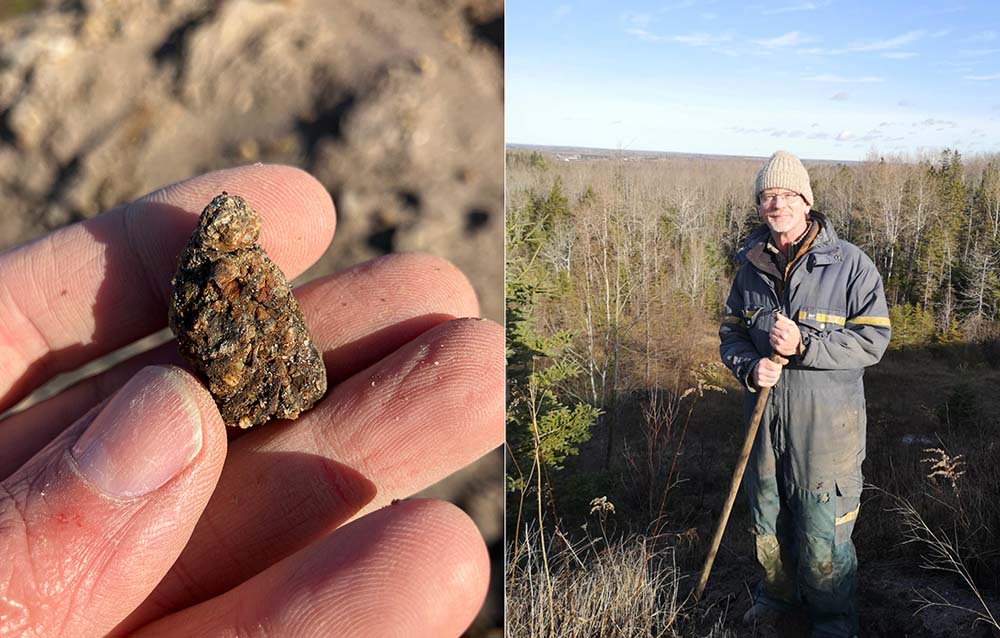 Hand holding fossil pine cone fragment and Steve Murphy with forest in background