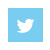 Graphic light blue square with Twitter logo icon.
