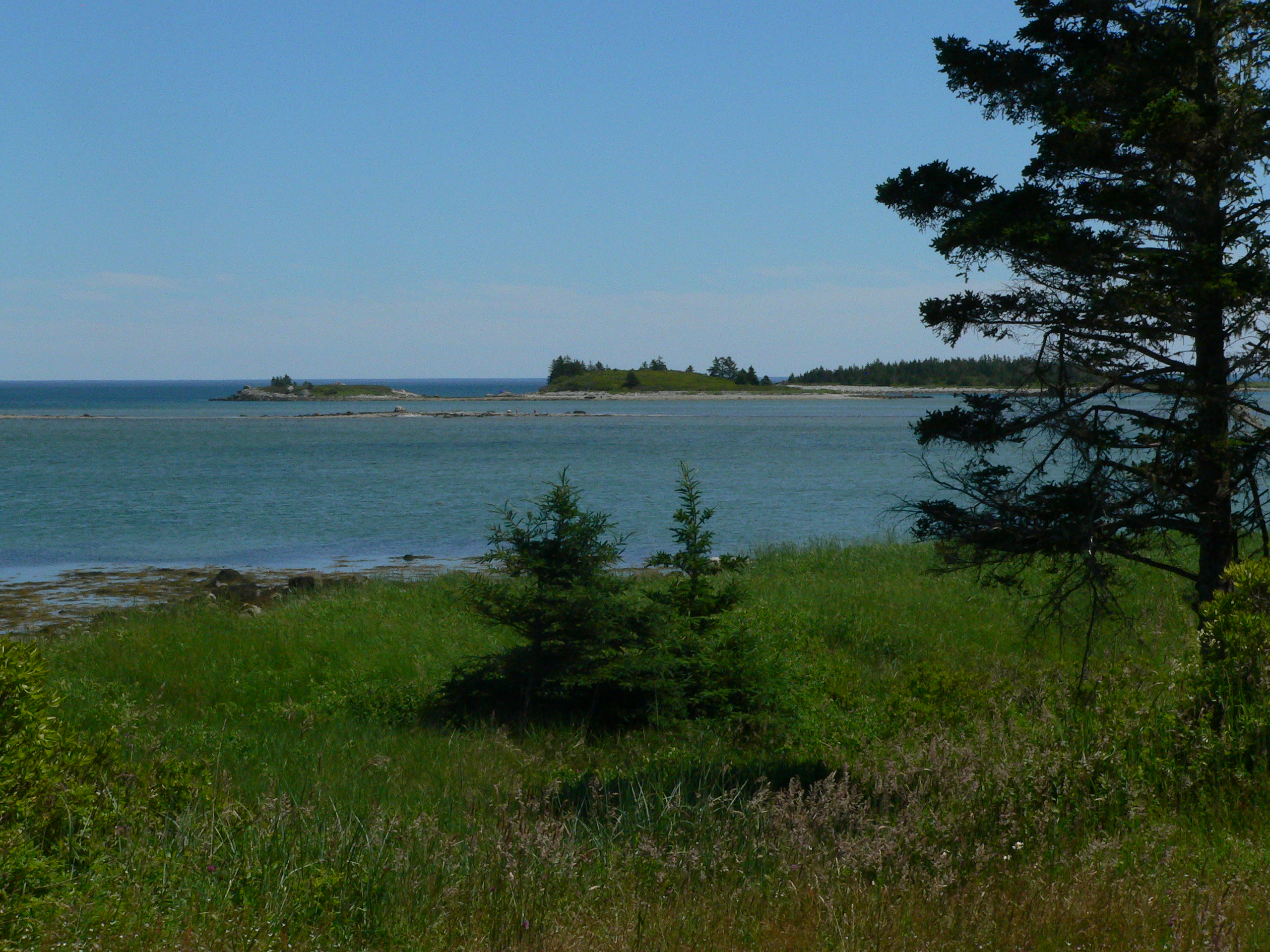 Scenic shot looking out from the site