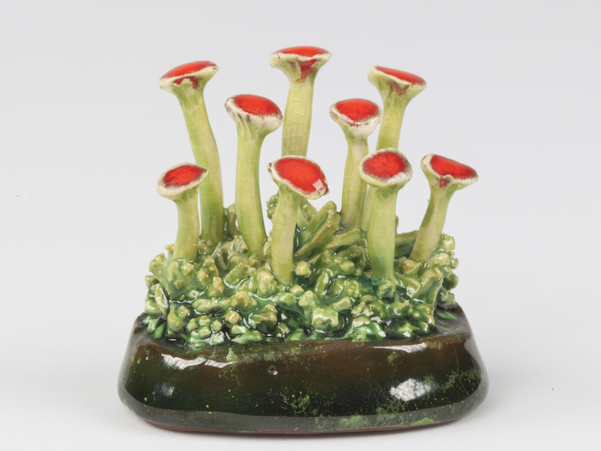 british solider lichen model.