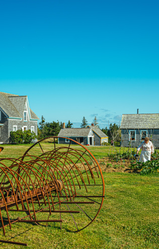 A field with farm equipment and home in the background.