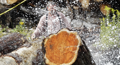 Logs splashing at the Sherbrooke Village Mill