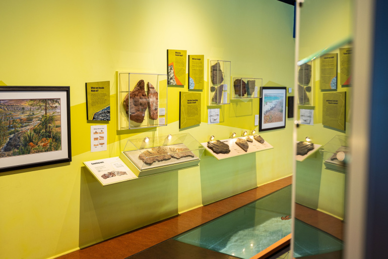 Gallery at the Fundy Geological Museum. Rocks and mineral are displayed on the wall.