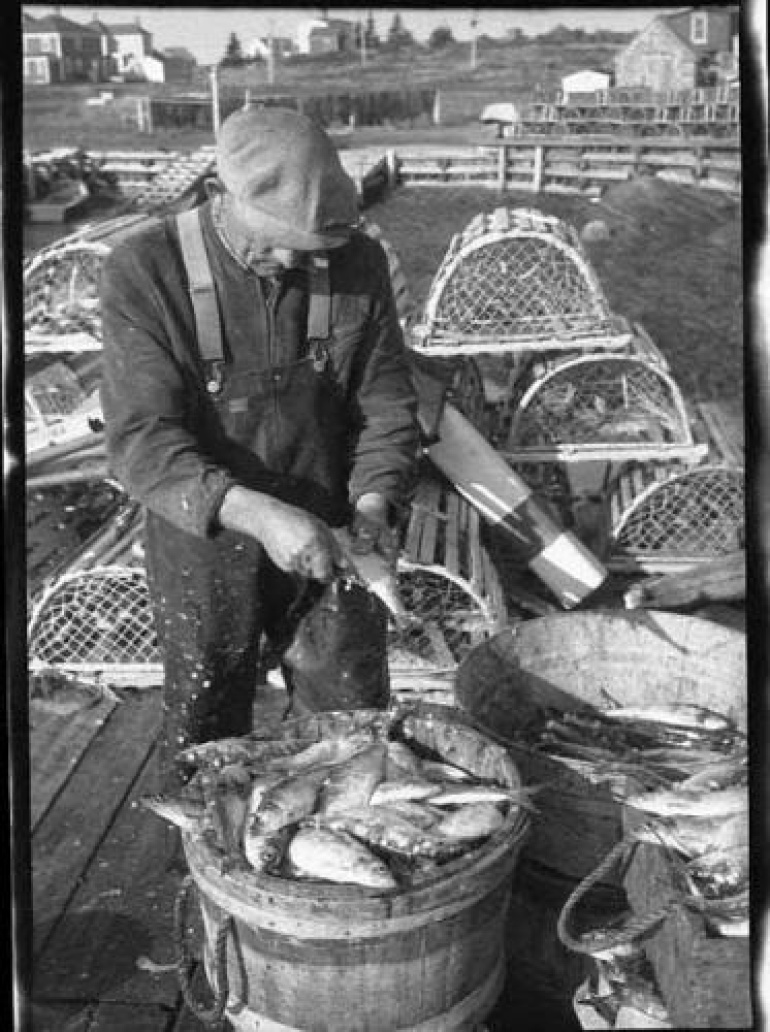 A man on a wharf scaling fish.