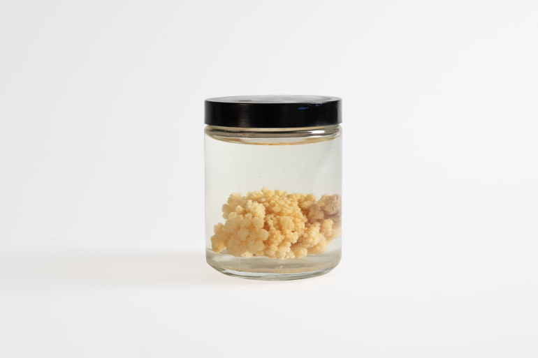 A jar of preserved Drifa Glomerata
