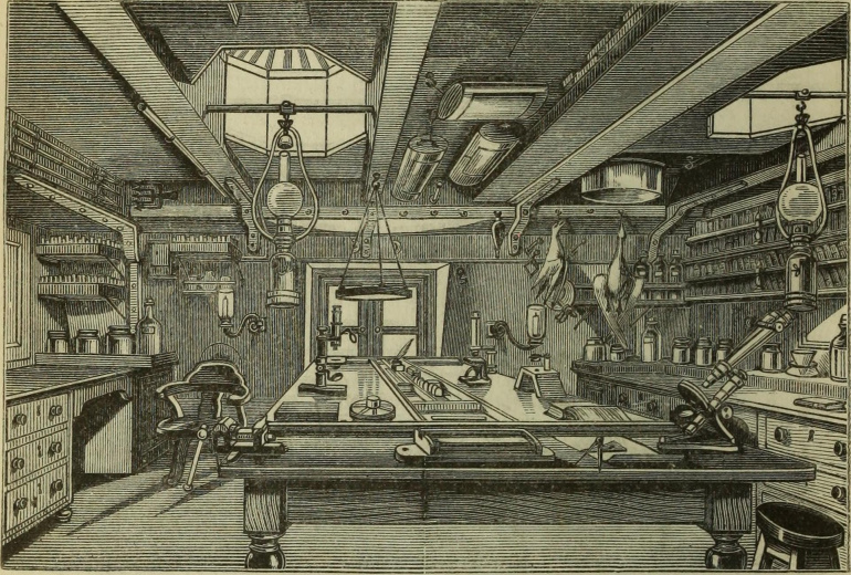 The natural history work-room aboard the HMS Challenger 