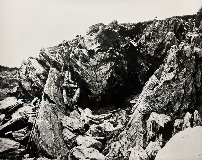  syncline, or fold, in rock along the shore near Point Pleasant Park