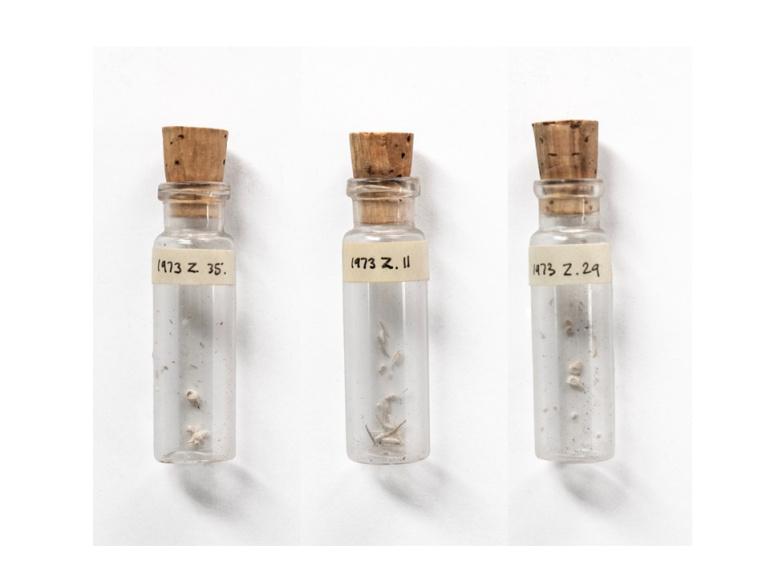 Three vials