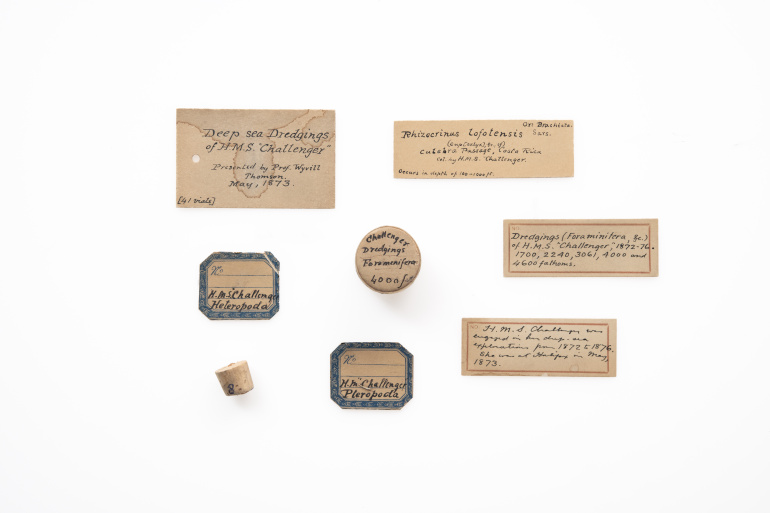 specimens containers
