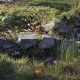 A ha-ha wall – a trench/ditch dug into the landscape, lined with stone so animals could not cross.
