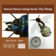 Natural History Collage Night - Tiny Things graphic