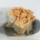 An individual colony of preserved Gersemia fruticose