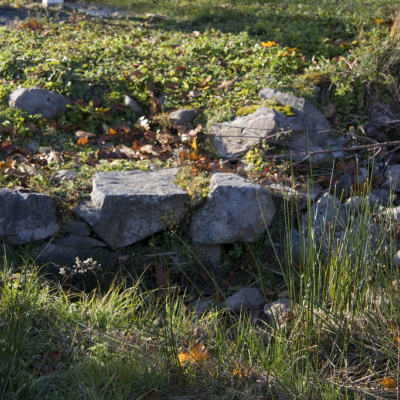 A ha-ha wall – a trench/ditch dug into the landscape, lined with stone so animals could not cross.
