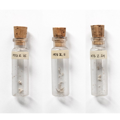 Three vials