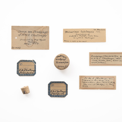 specimens containers
