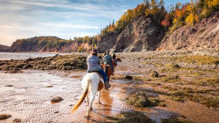 Museum team and visitors heading down the beach on horseback.