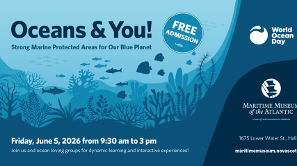 Oceans & You graphic.