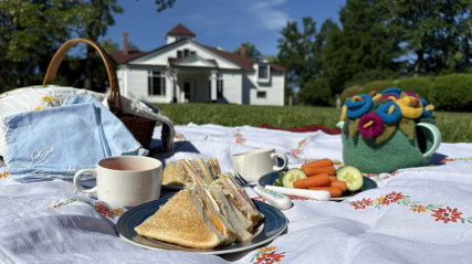 Afternoon tea picnic set up at Clifton Museum Park
