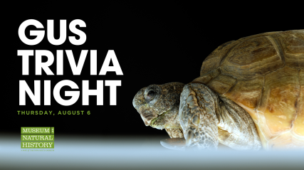 Gus Trivia Night graphic with Gus the gopher tortoise against a black background.