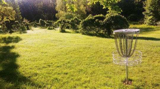 A disc golf basket on a metal pole stands in a green field, with trees and sunlight in the background