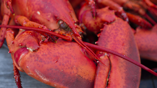 Cooked lobster