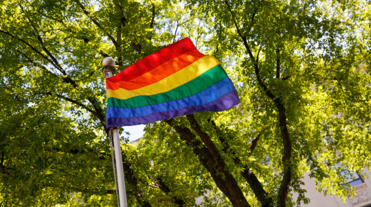 Pride Flag with trees in the background