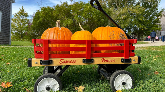 Three pumpkins in a red wagon.