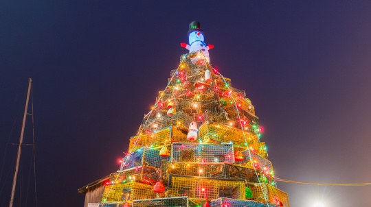 Lobster Trap Tree lit up like a Christmas Tree in Lunenburg.