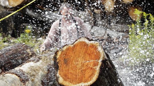 Logs splashing at the Sherbrooke Village Mill