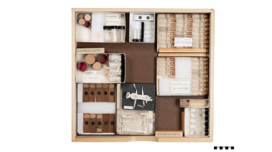 A drawer of specimens from the Challenger Expedition.