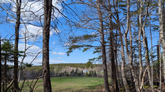 View of Uniacke Estate from the Drumlin Field Trail 