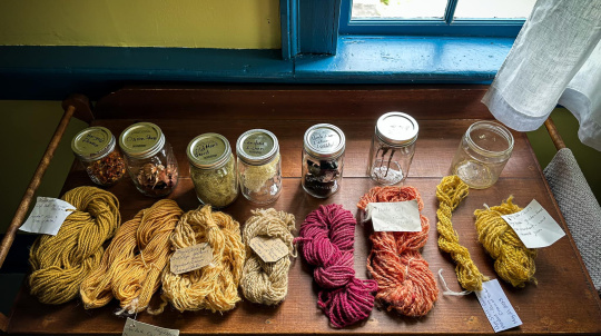A close-up photograph looking down at a display of natural dyeing results, presented on a rustic wooden table by a blue-framed window. Eight mason jars with handwritten labels are lined up at the back, containing different raw natural dye materials such as "Marigold Flowers," "Onion Skins," "Old Man's Beard," "Caribou Lichen," and other plant matter.