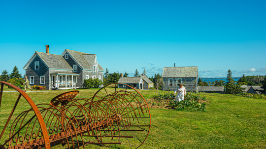 Wide outdoor shot of a historical seaside village with weathered wood-shingled buildings under a clear blue sky. In the foreground, a large, rusty vintage metal hay rake sits on a wide green lawn. In the background, a person in historical attire tends to a vegetable garden near small outbuildings, while another person walks near a larger two-story farmhouse on the left, with the ocean visible on the distant right horizon.
